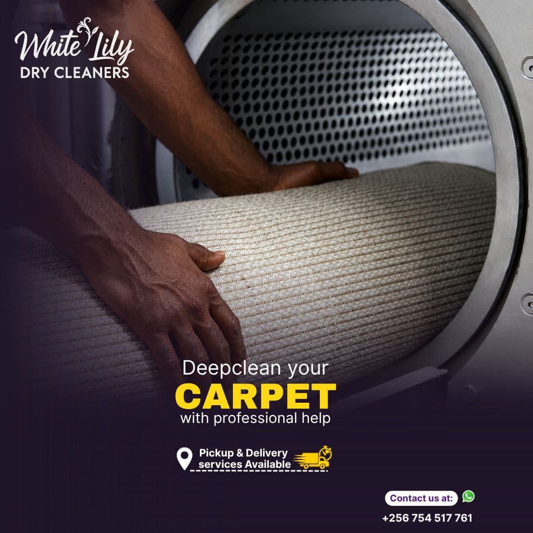 Deep clean carpet care